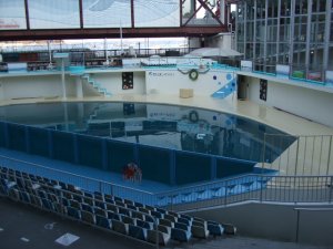 水族館の海獣用プールの改修（防水と塗装）